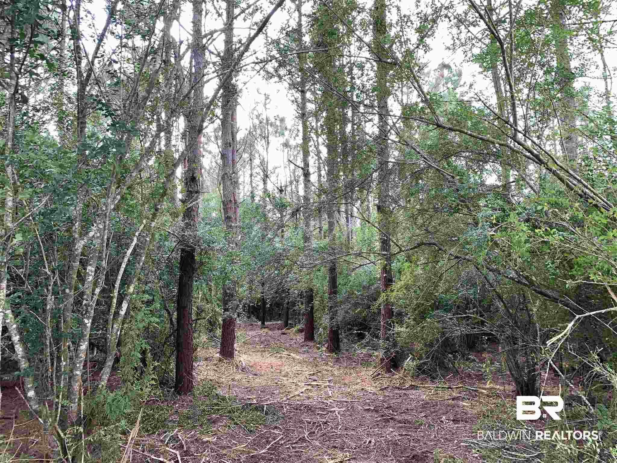 0 Mateja Road Robertsdale, AL 36567 - Photo 14 of 18 Trail