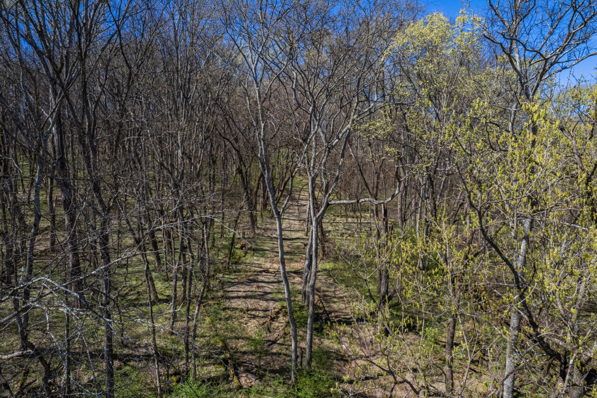 0 Dowell Branch Road Columbia, TN 38401 - Photo 17 of 60 Gallery Image 17