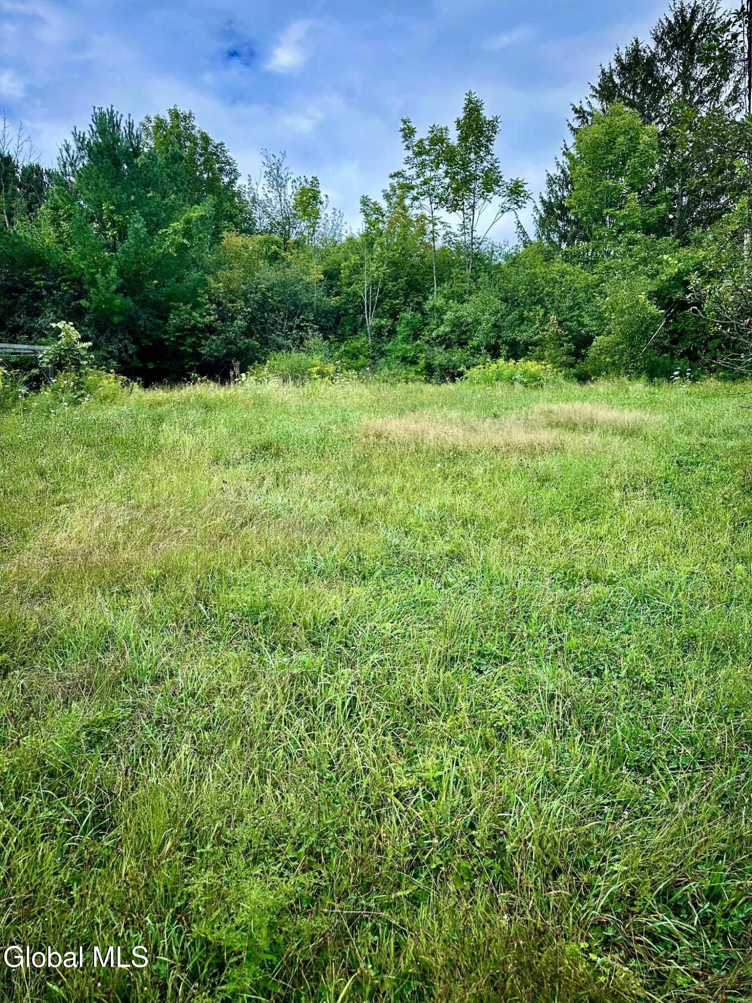 429 Bozenkill Road Knox, NY 12009 - Photo 10 of 10 backyard