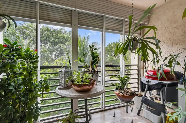 a view of a backyard with a potted plant and a large window