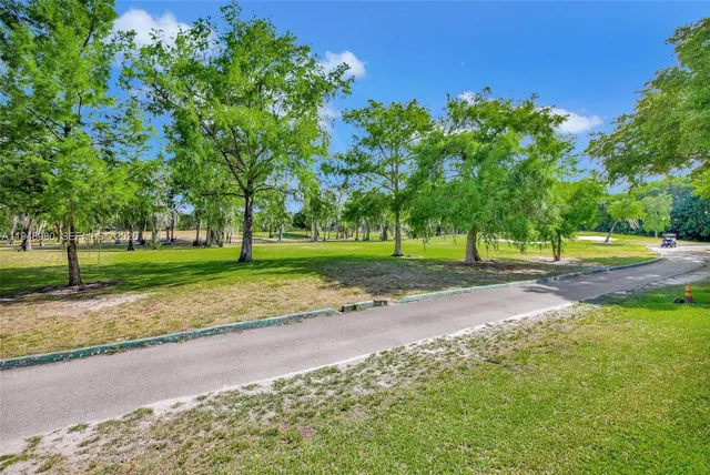 a view of a park with tree s