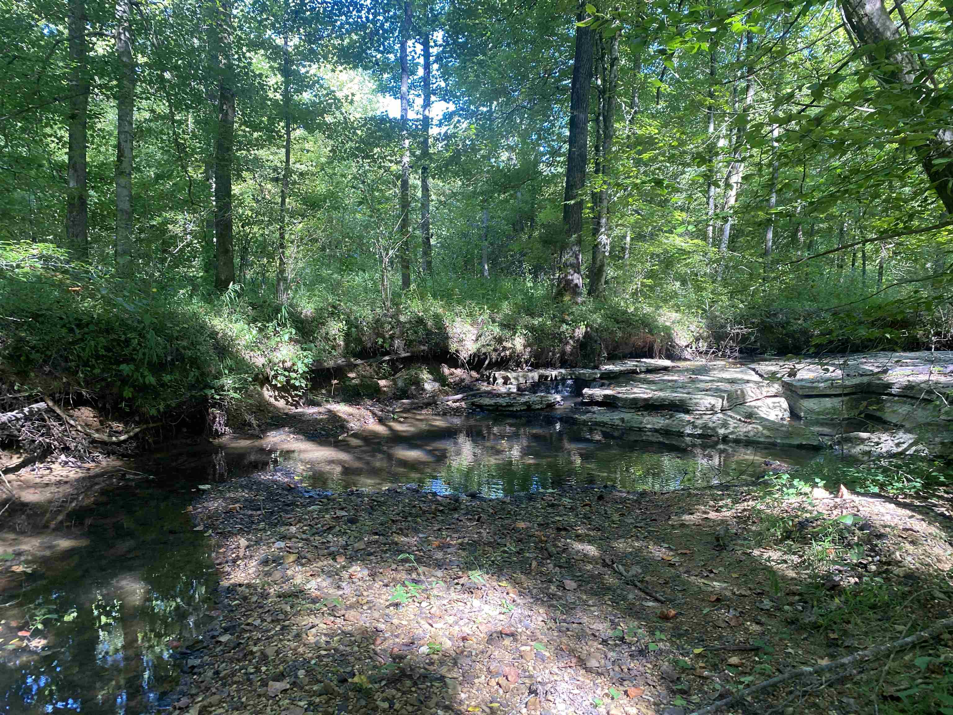 1 Clifton Road Savannah, TN 38372 - Photo 12 of 38 a view of swimming pool with yard