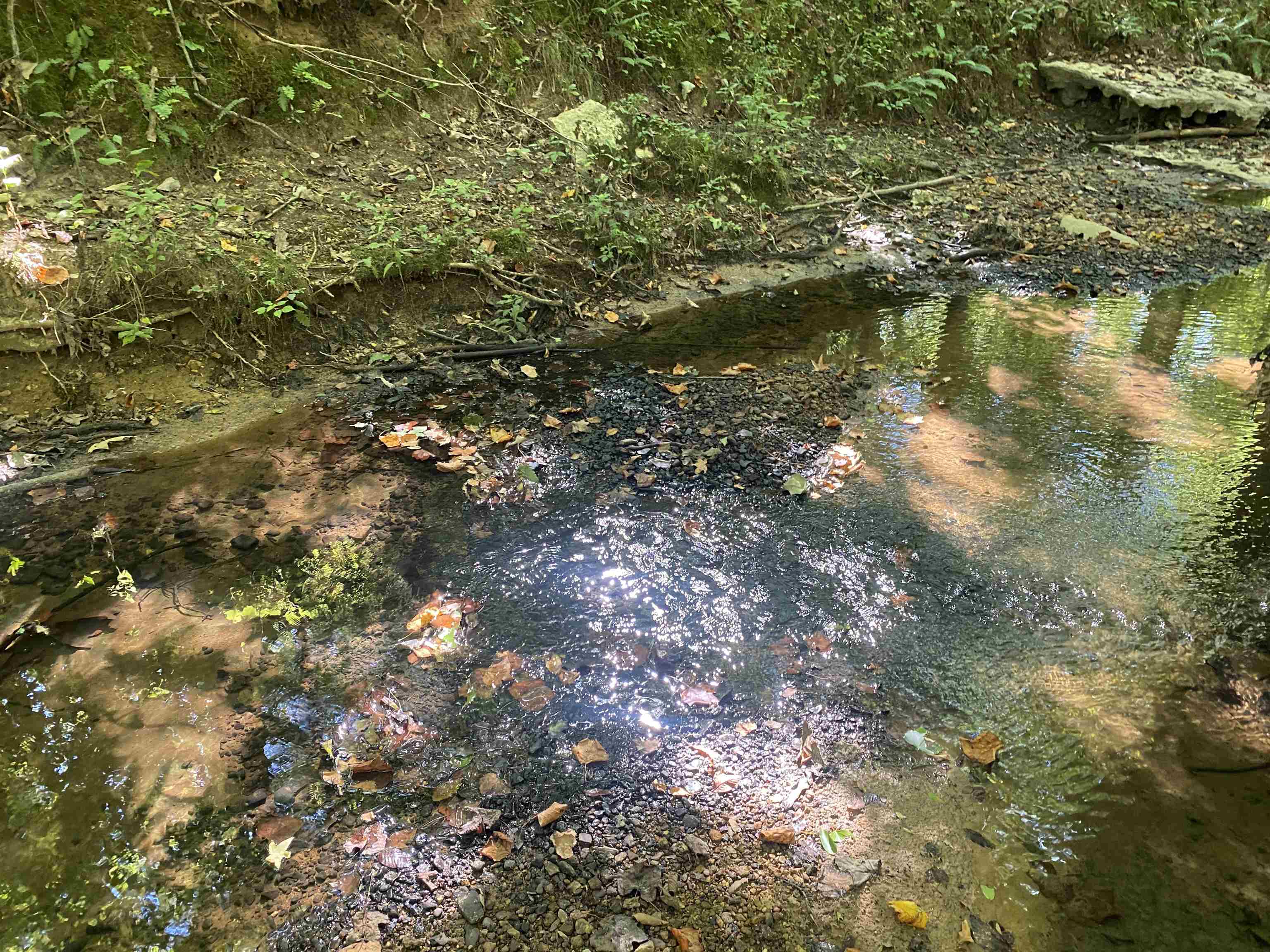 1 Clifton Road Savannah, TN 38372 - Photo 15 of 38 a view of lake