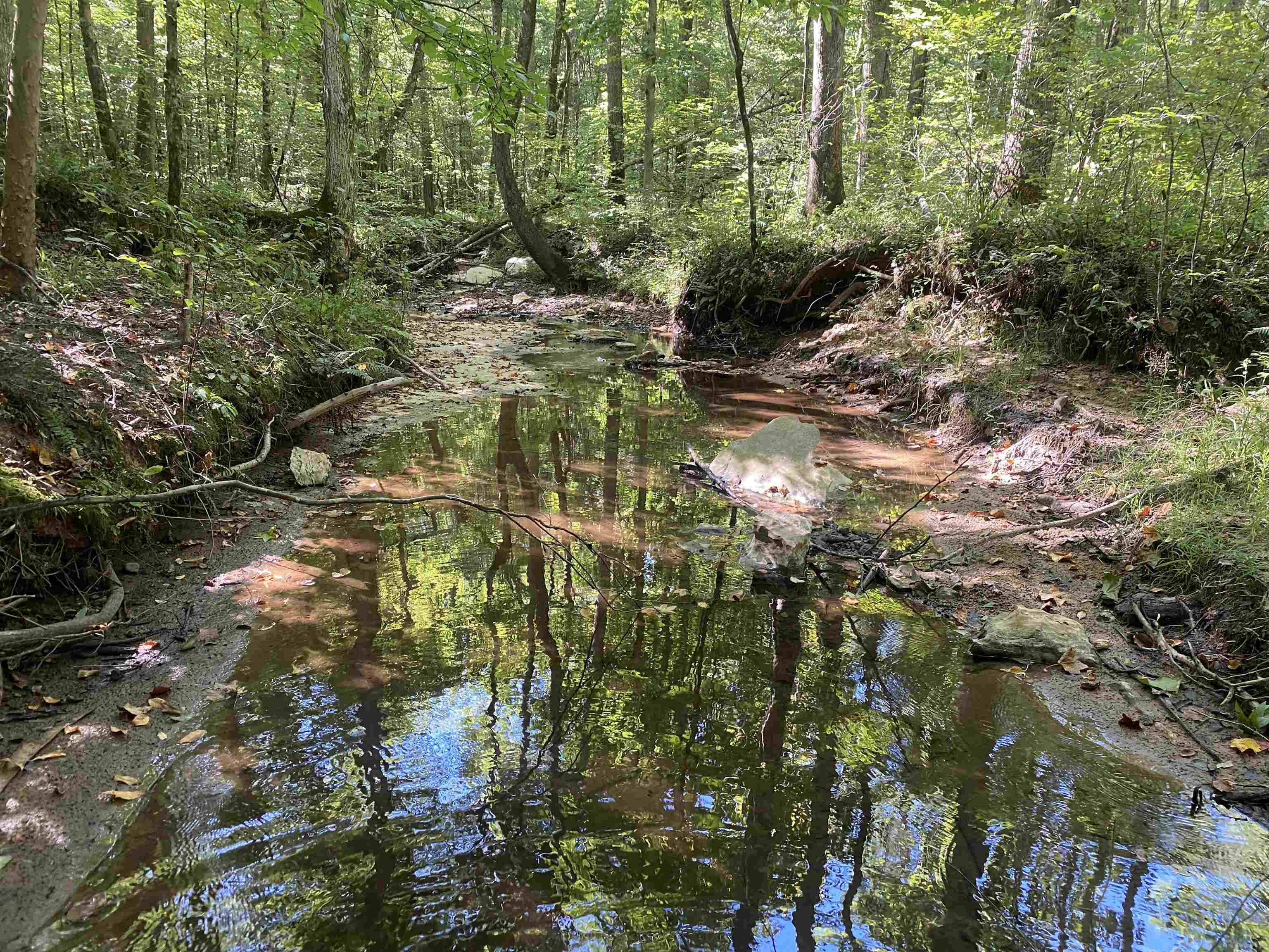 1 Clifton Road Savannah, TN 38372 - Photo 18 of 38 a view of location