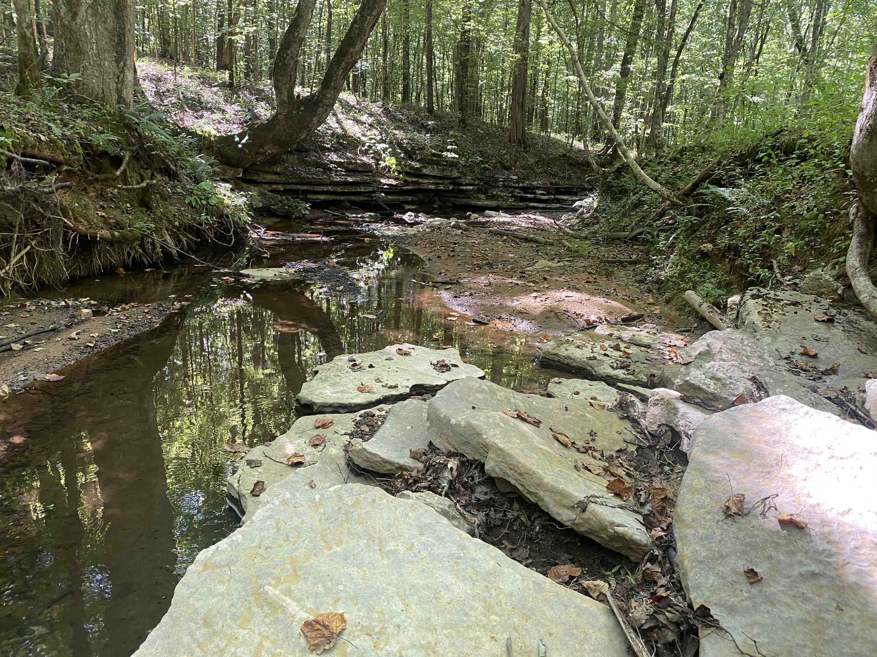 1 Clifton Road Savannah, TN 38372 - Photo 20 of 38 a view of outdoor space and yard