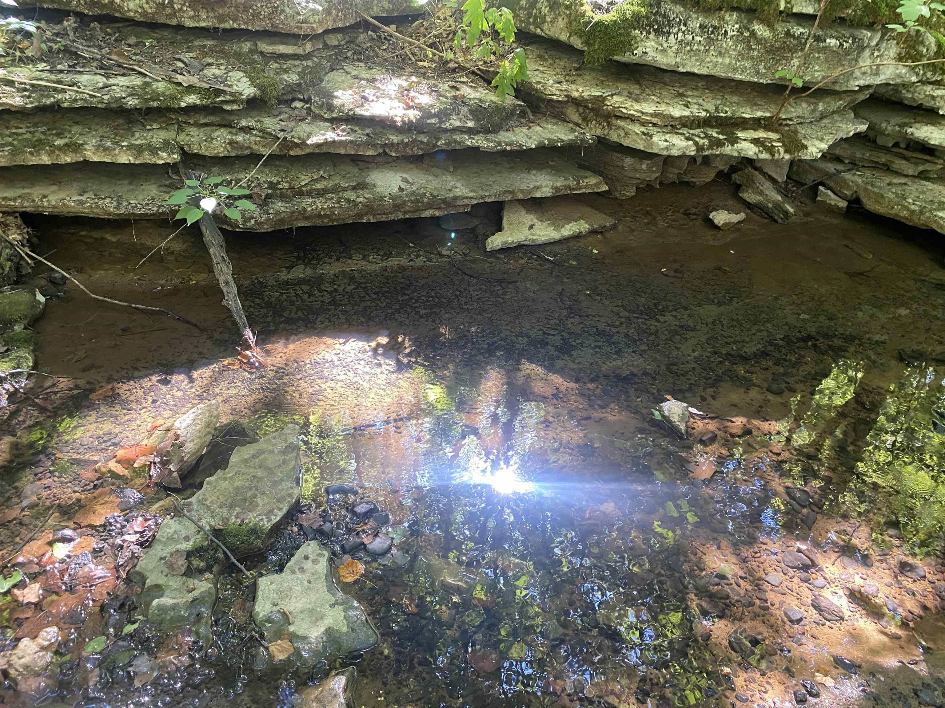 1 Clifton Road Savannah, TN 38372 - Photo 22 of 38 a view of a water fountain in a yard