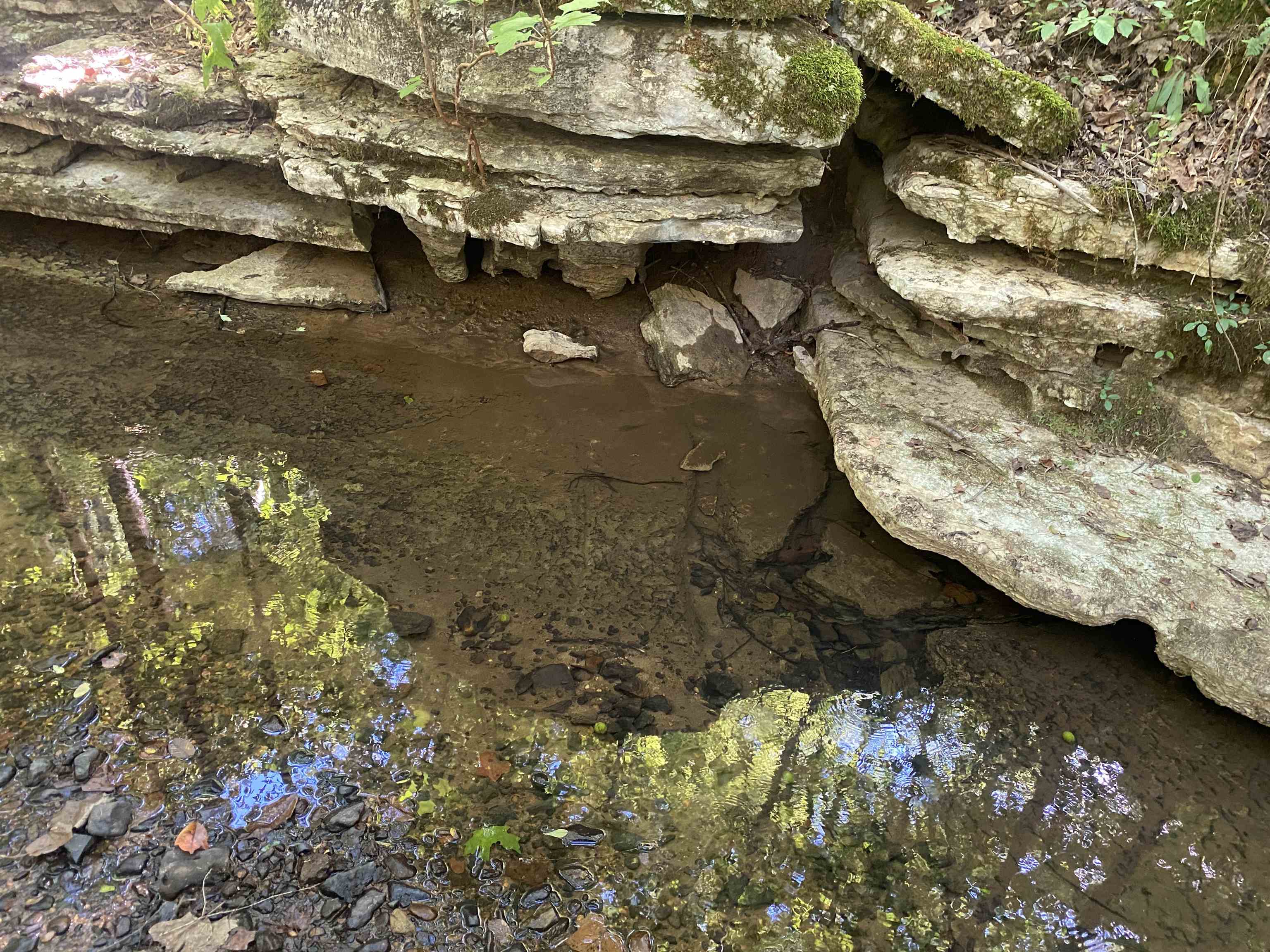 1 Clifton Road Savannah, TN 38372 - Photo 23 of 38 a view of water heater