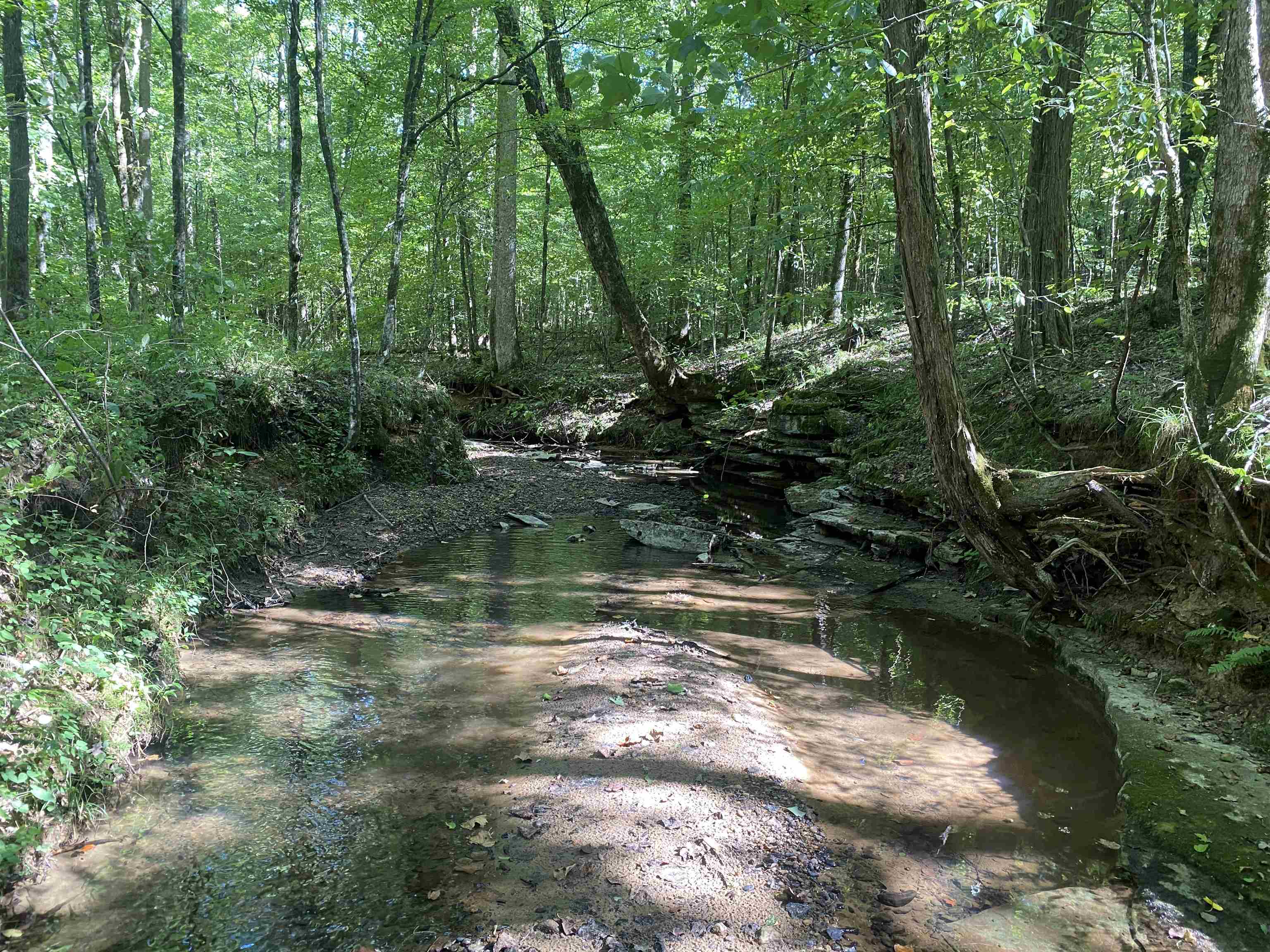 1 Clifton Road Savannah, TN 38372 - Photo 26 of 38 a view of lake