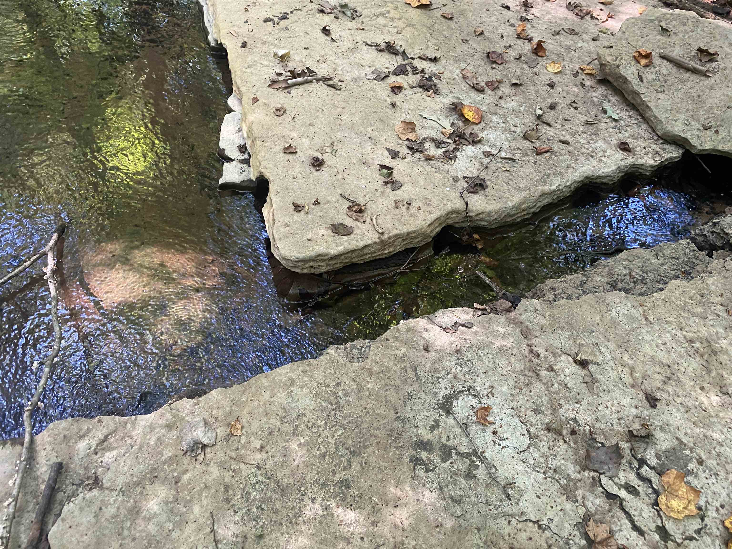 1 Clifton Road Savannah, TN 38372 - Photo 28 of 38 a view of wooden fence of a house