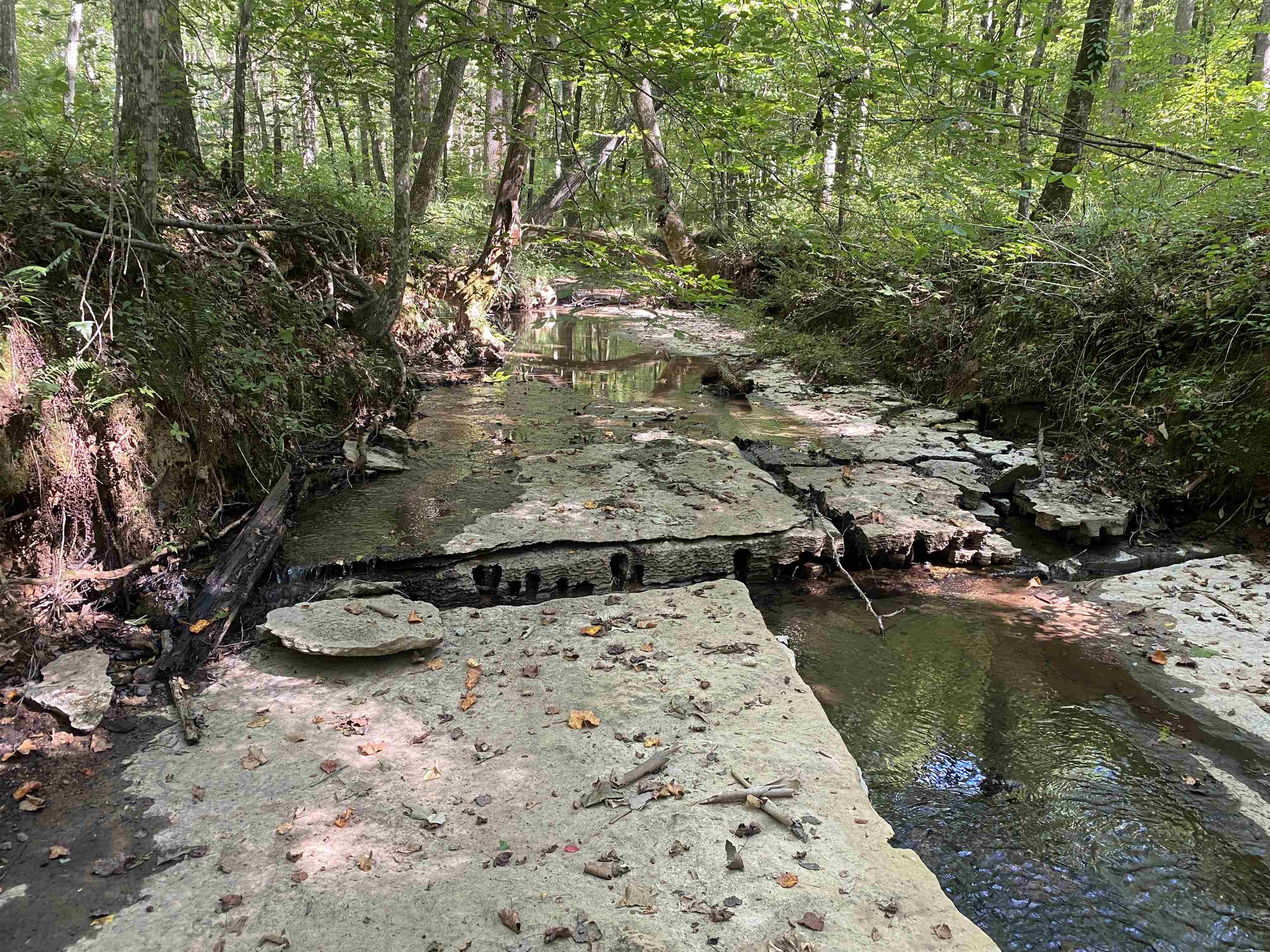 1 Clifton Road Savannah, TN 38372 - Photo 30 of 38 a view of a lake from a balcony