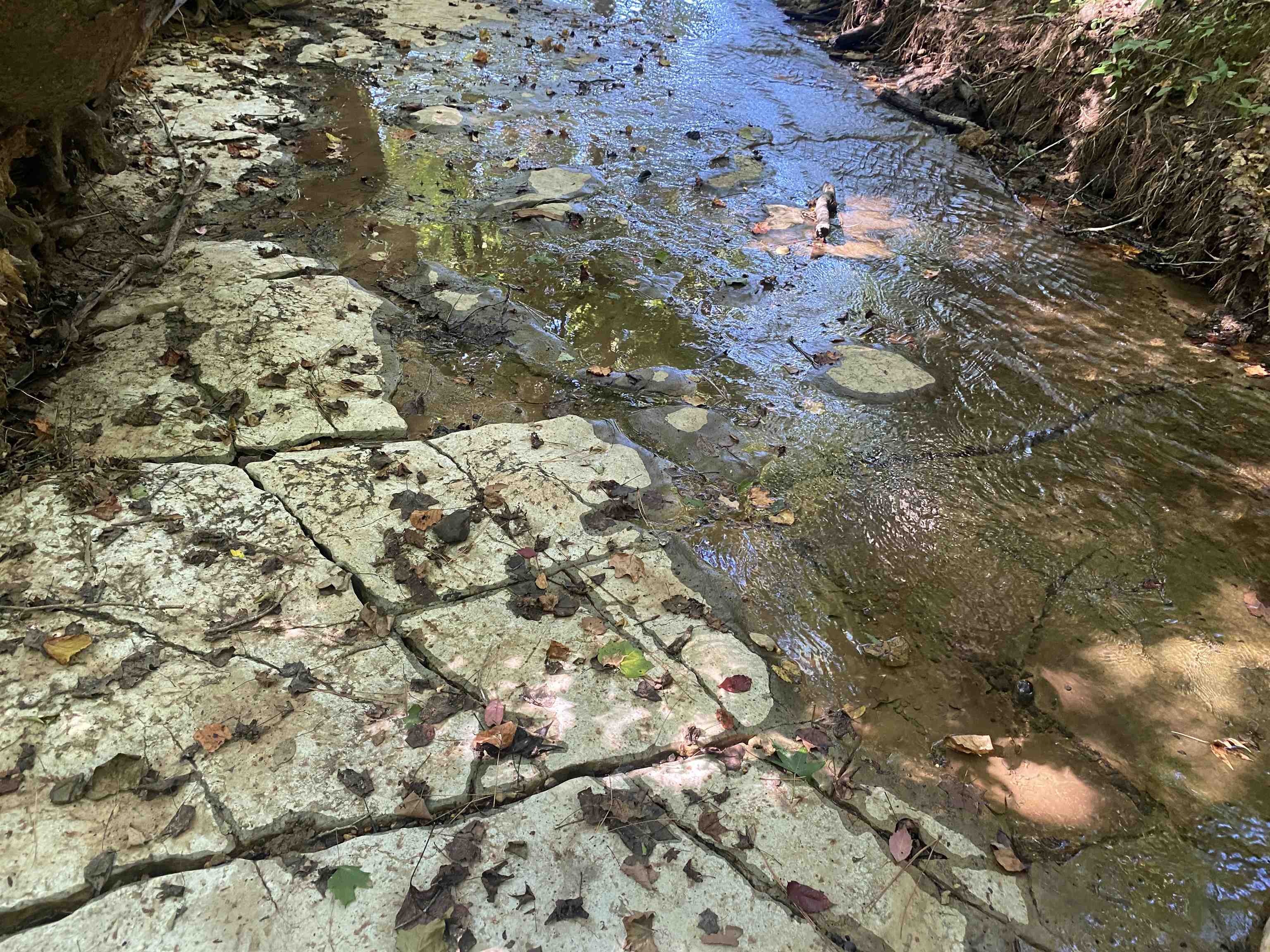 1 Clifton Road Savannah, TN 38372 - Photo 32 of 38