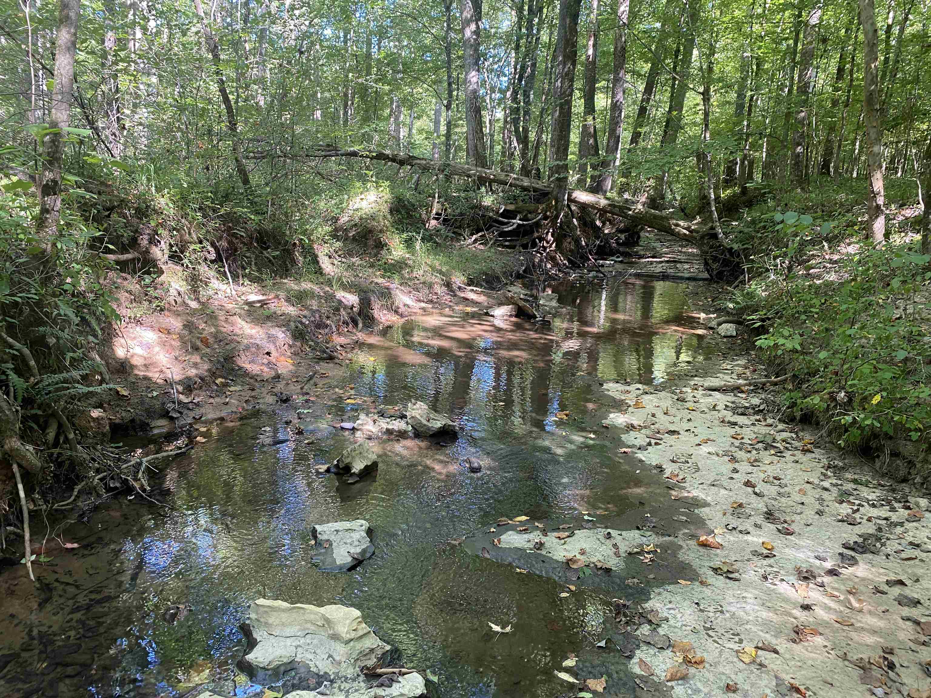 1 Clifton Road Savannah, TN 38372 - Photo 4 of 38 a view of lake