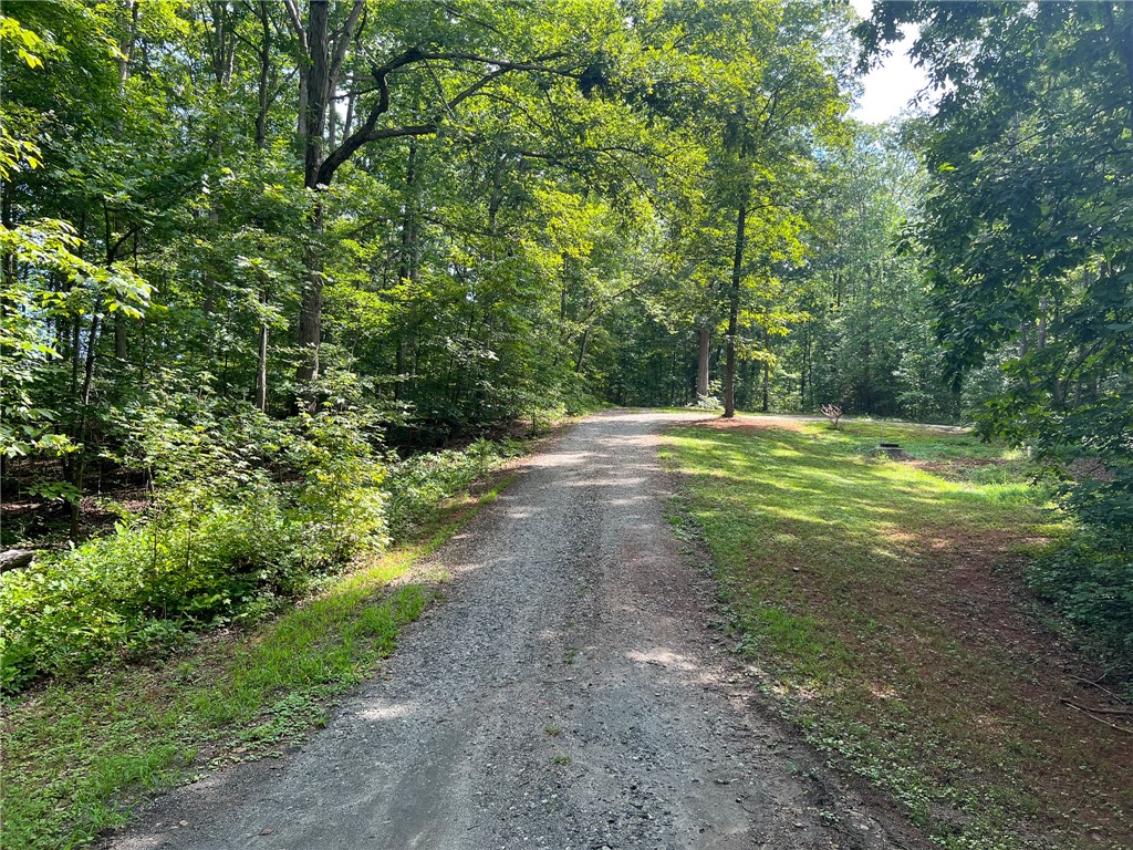 0 Valley Road Lyman, SC 29365 - Photo 2 of 16 Gallery Image 2