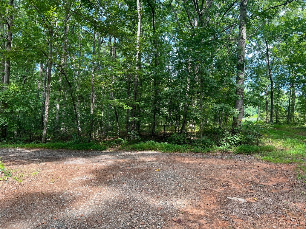 0 Valley Road Lyman, SC 29365 - Photo 3 of 16 Gallery Image 3