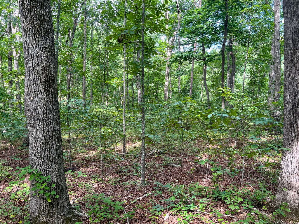 0 Valley Road Lyman, SC 29365 - Photo 9 of 16 Gallery Image 9