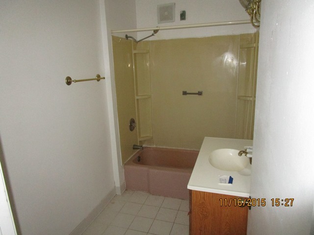 17333 East Lind Road Rochelle, IL 61068 - Photo 18 of 25 a bathroom with a bathtub sink and shower