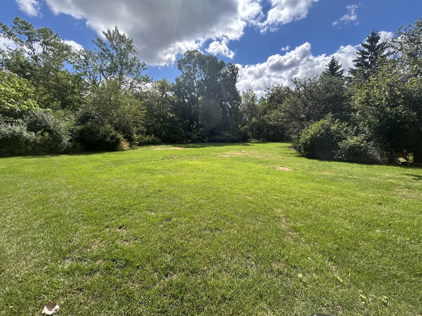 1121 Longvalley Road Glenview, IL 60025 - Photo 3 of 3