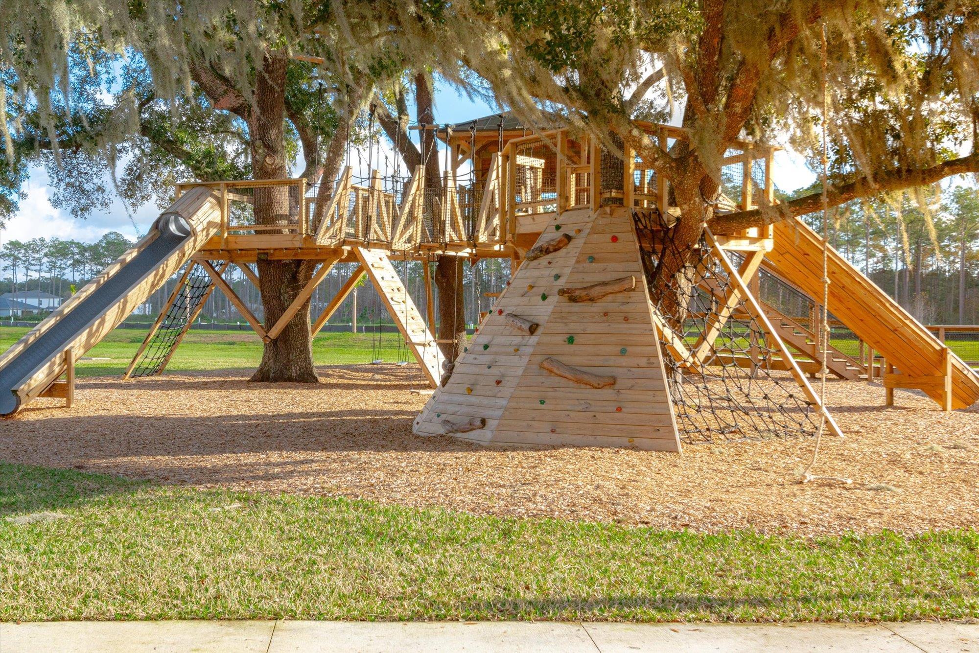 41 Cinnamon Teal Way St. Augustine, FL 32092 - Photo 51 of 60