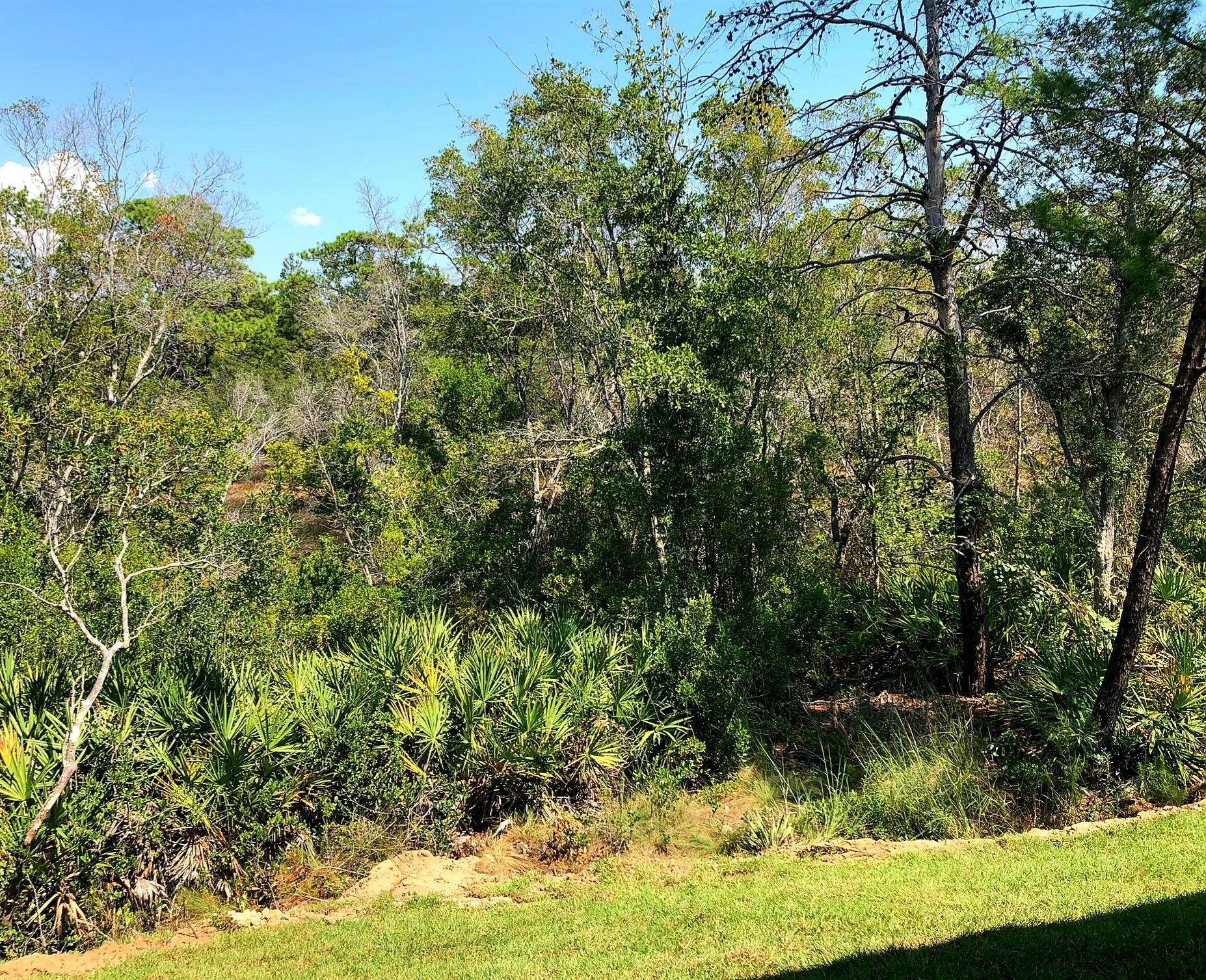 271 Wayne Trail Santa Rosa Beach, FL 32459 - Photo 35 of 35