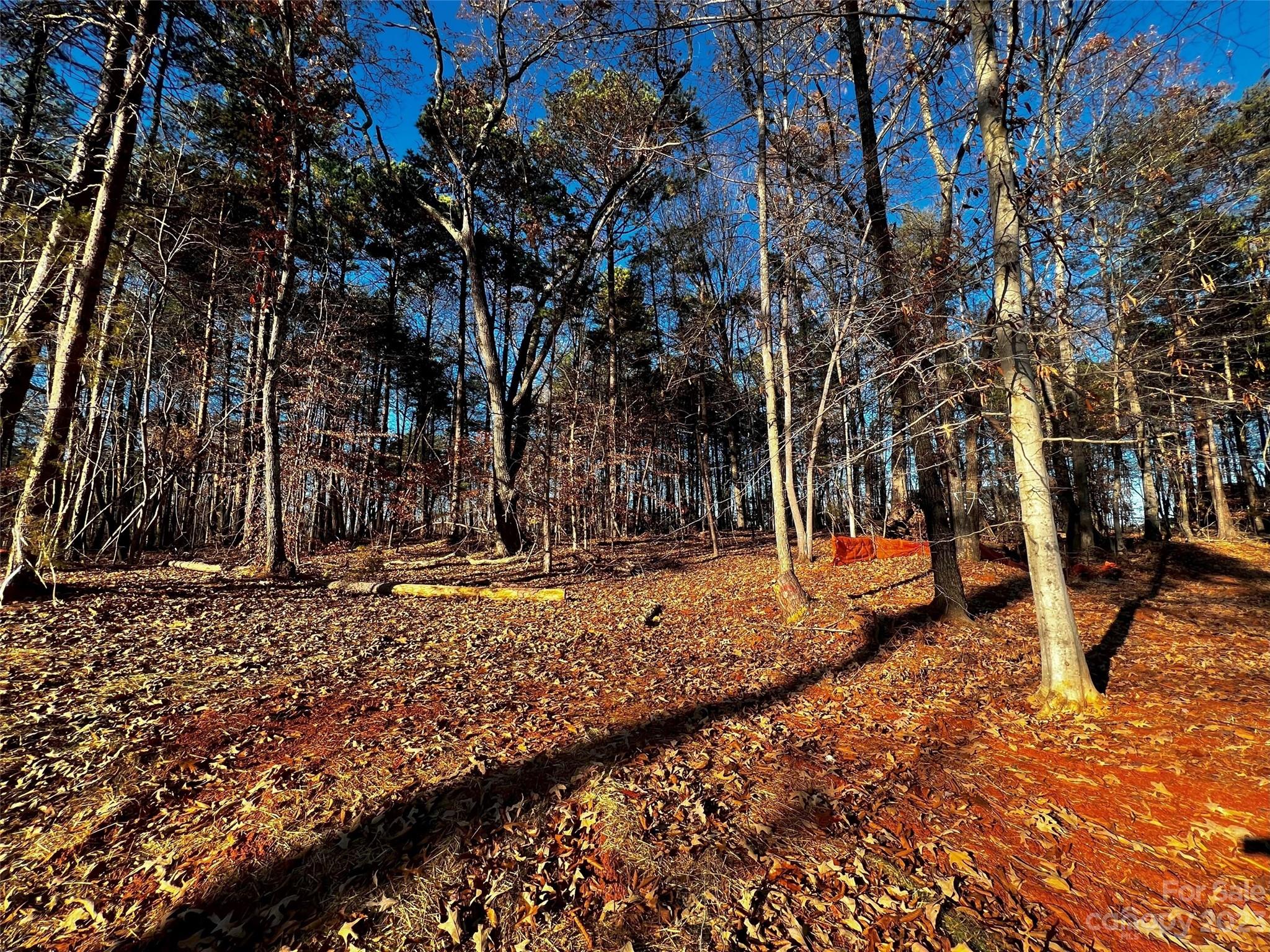 123 Hunt Cp Trail, Unit 17 Davidson, NC 28036 - Photo 1 of 19 a backyard of a house with lots of green space