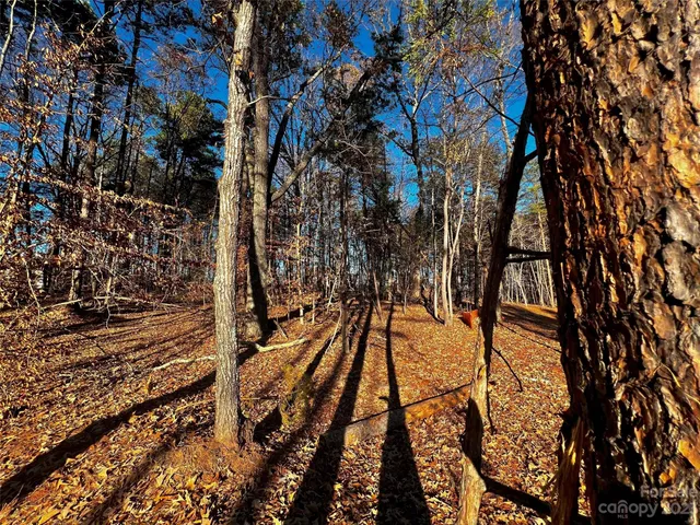 a view of an outdoor space
