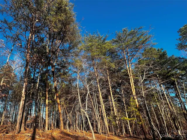 a view of outdoor space with a garden