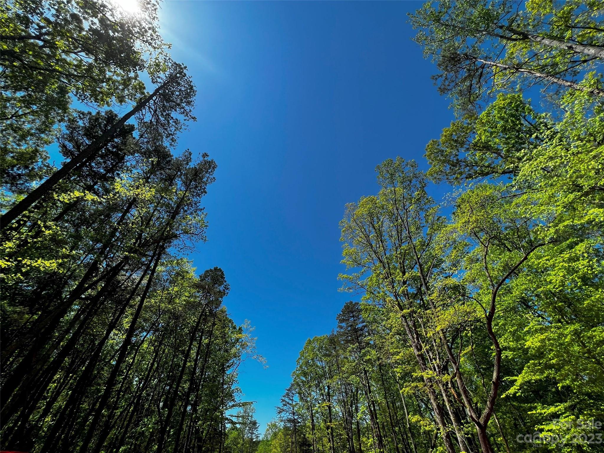 123 Hunt Cp Trail, Unit 17 Davidson, NC 28036 - Photo 9 of 19