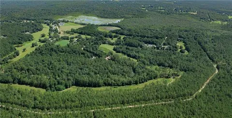 $15,000 | Lot 7 Bobby Jones Drive, Abita Springs, LA 70420