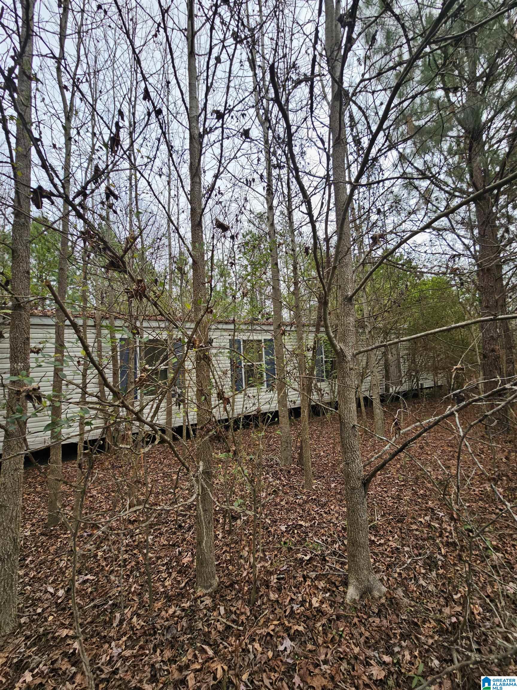 0 County Road 724 Calera, AL 35040 - Photo 6 of 18