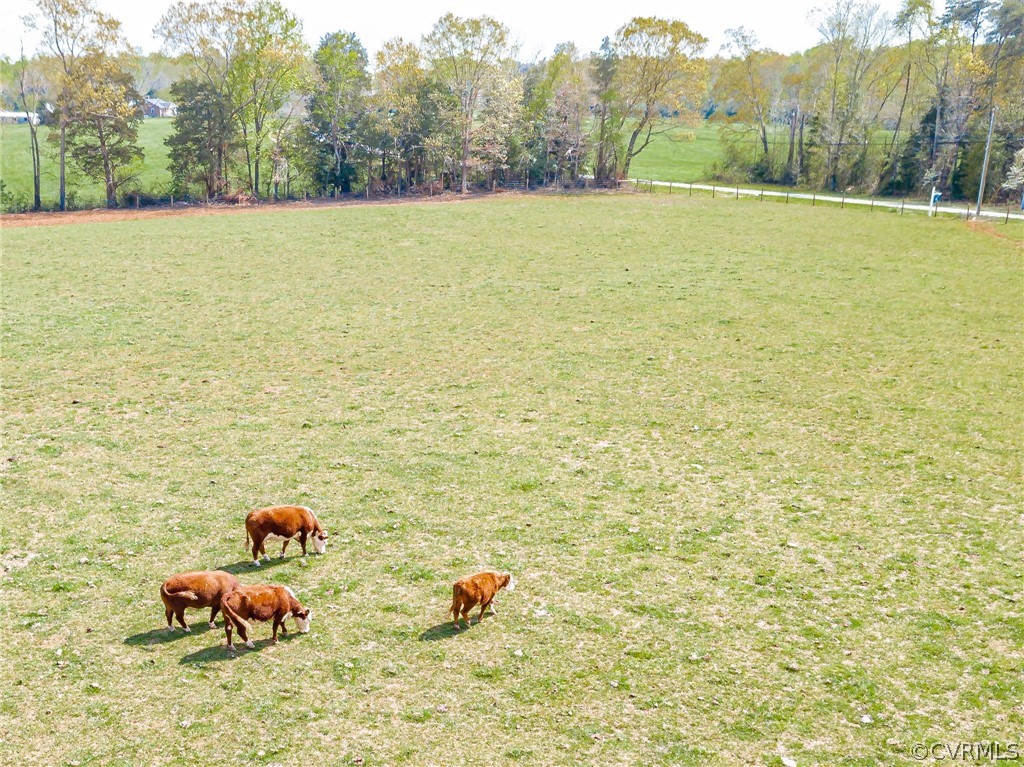 2561 Sandy Hook Road Goochland, VA 23063 - Photo 11 of 21 Perfect farm site - great location - great homesi