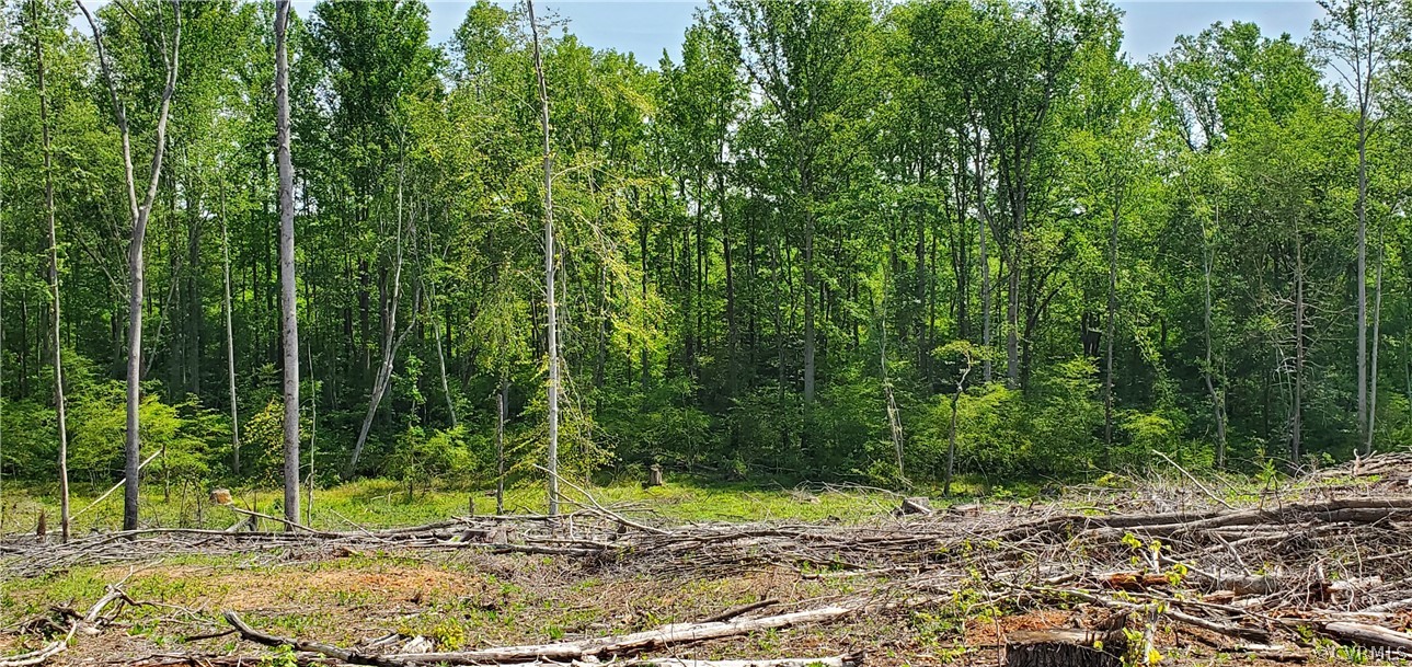 2561 Sandy Hook Road Goochland, VA 23063 - Photo 12 of 21 Views at rear of parcel to side lines