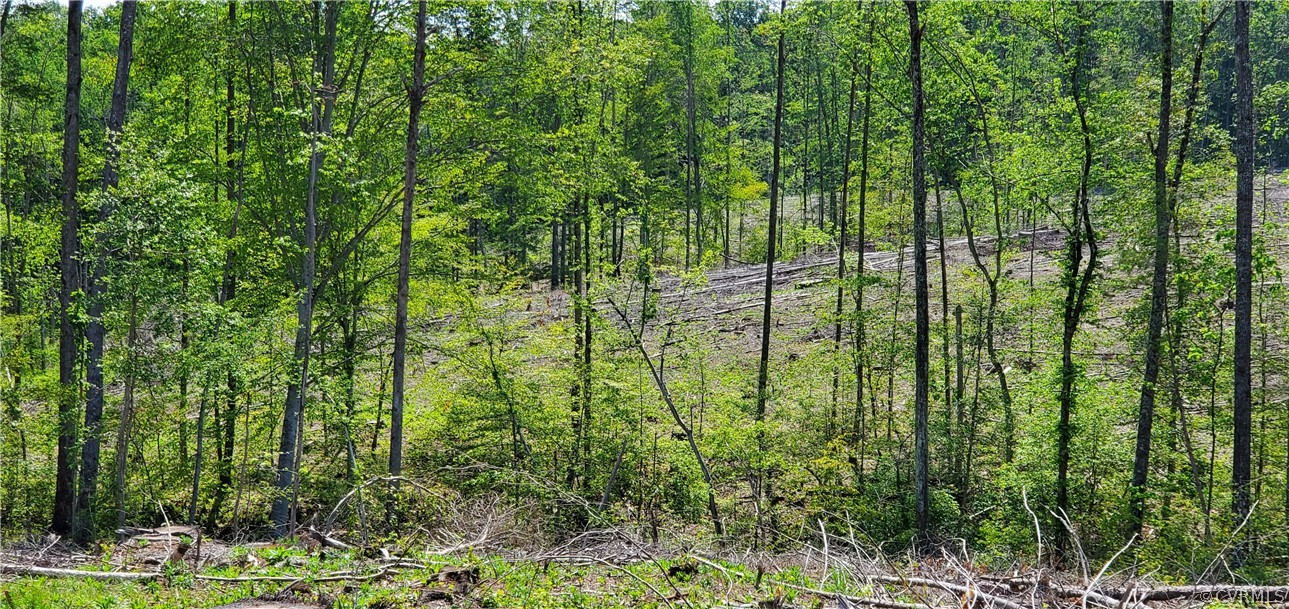 2561 Sandy Hook Road Goochland, VA 23063 - Photo 13 of 21 Gentle slops at rear have good pond and homesites