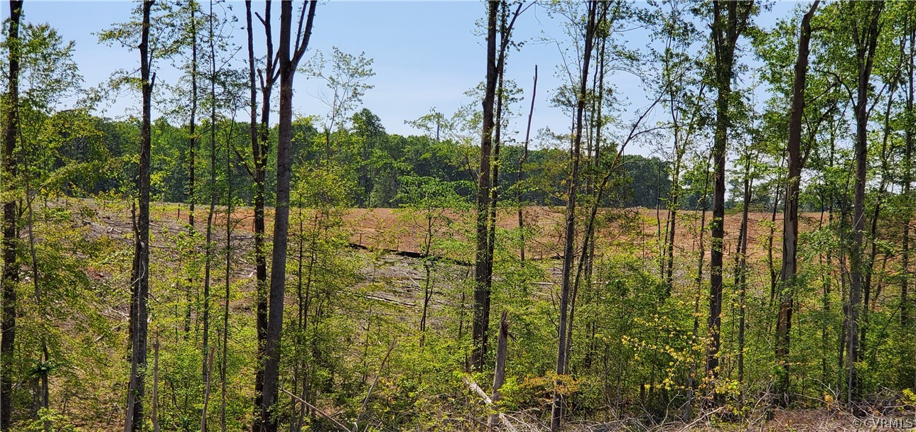 2561 Sandy Hook Road Goochland, VA 23063 - Photo 14 of 21 new fields being disced