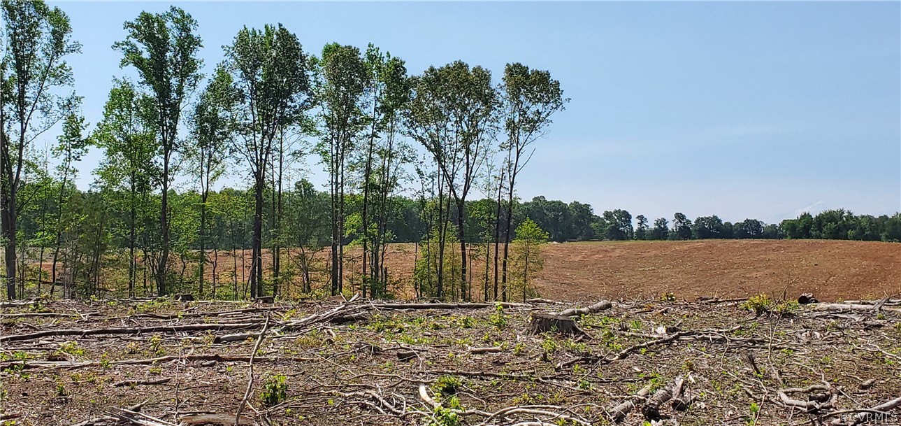 2561 Sandy Hook Road Goochland, VA 23063 - Photo 15 of 21 View from rear look south back to propery.