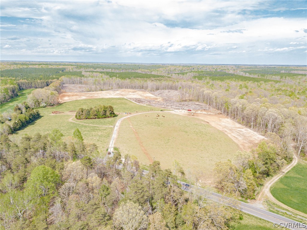 2561 Sandy Hook Road Goochland, VA 23063 - Photo 17 of 21 Views of the 71 acres looking north