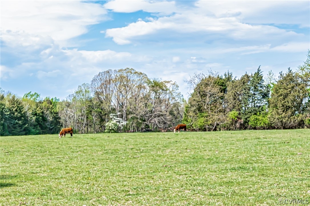 2561 Sandy Hook Road Goochland, VA 23063 - Photo 6 of 21 Perfect for horses or cattle