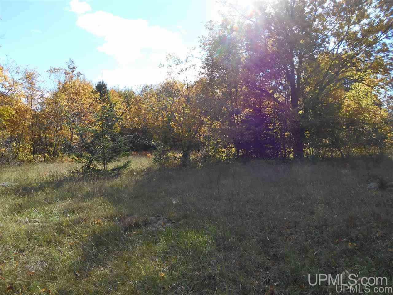 Tbd Tee Lake Road, Unit EAST PARCEL Germfask, MI 49836 - Photo 5 of 10