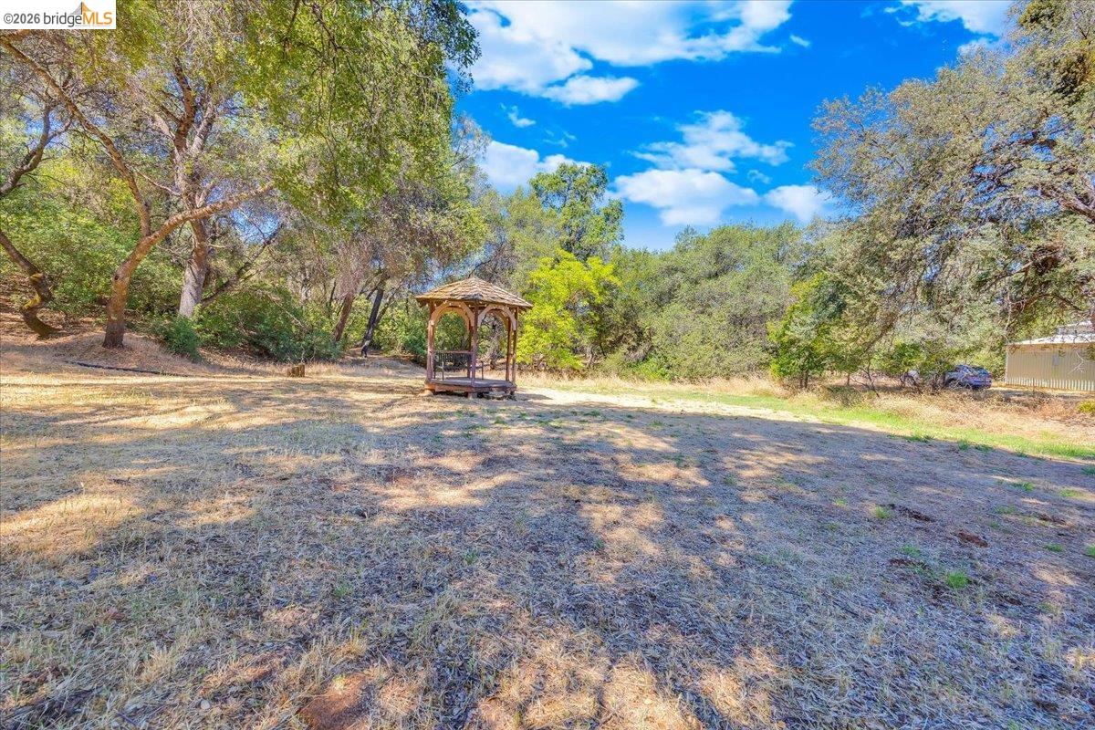 8733 Fraguero Road Sonora, CA 95370 - Photo 67 of 73 Expansive outdoor space featuring a wooden gazebo with a shingled roof, surrounded by mature trees and natural landscaping