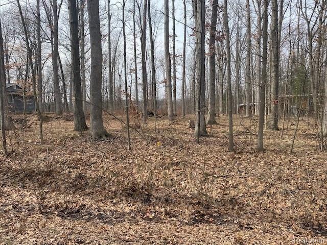 0 Marshall Road Montrose, MI 48457 - Photo 9 of 9