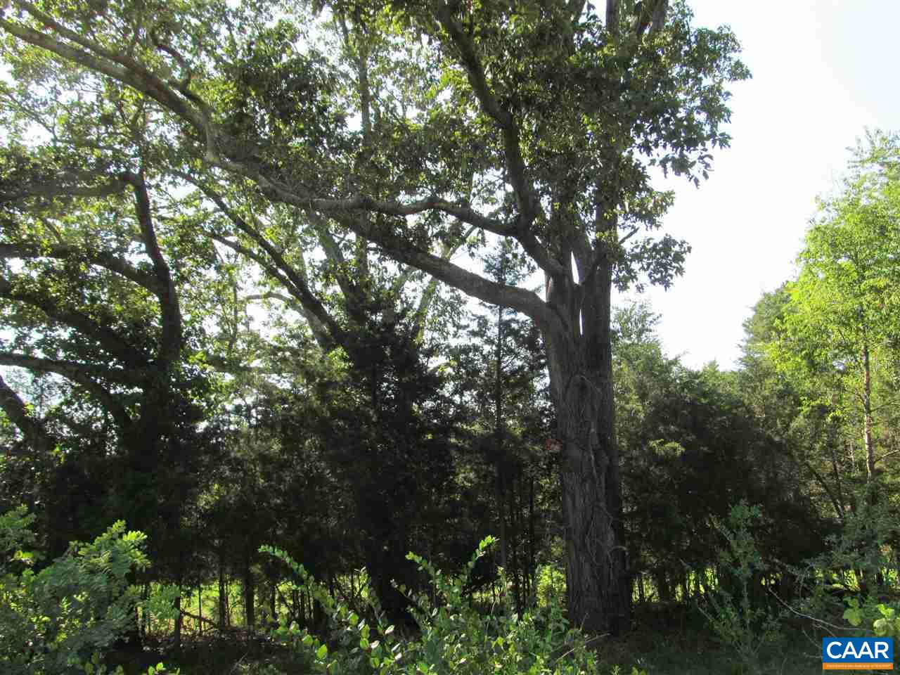 Lot 2 North Boston Road Troy, VA 22974 - Photo 3 of 4 Gallery Image 3