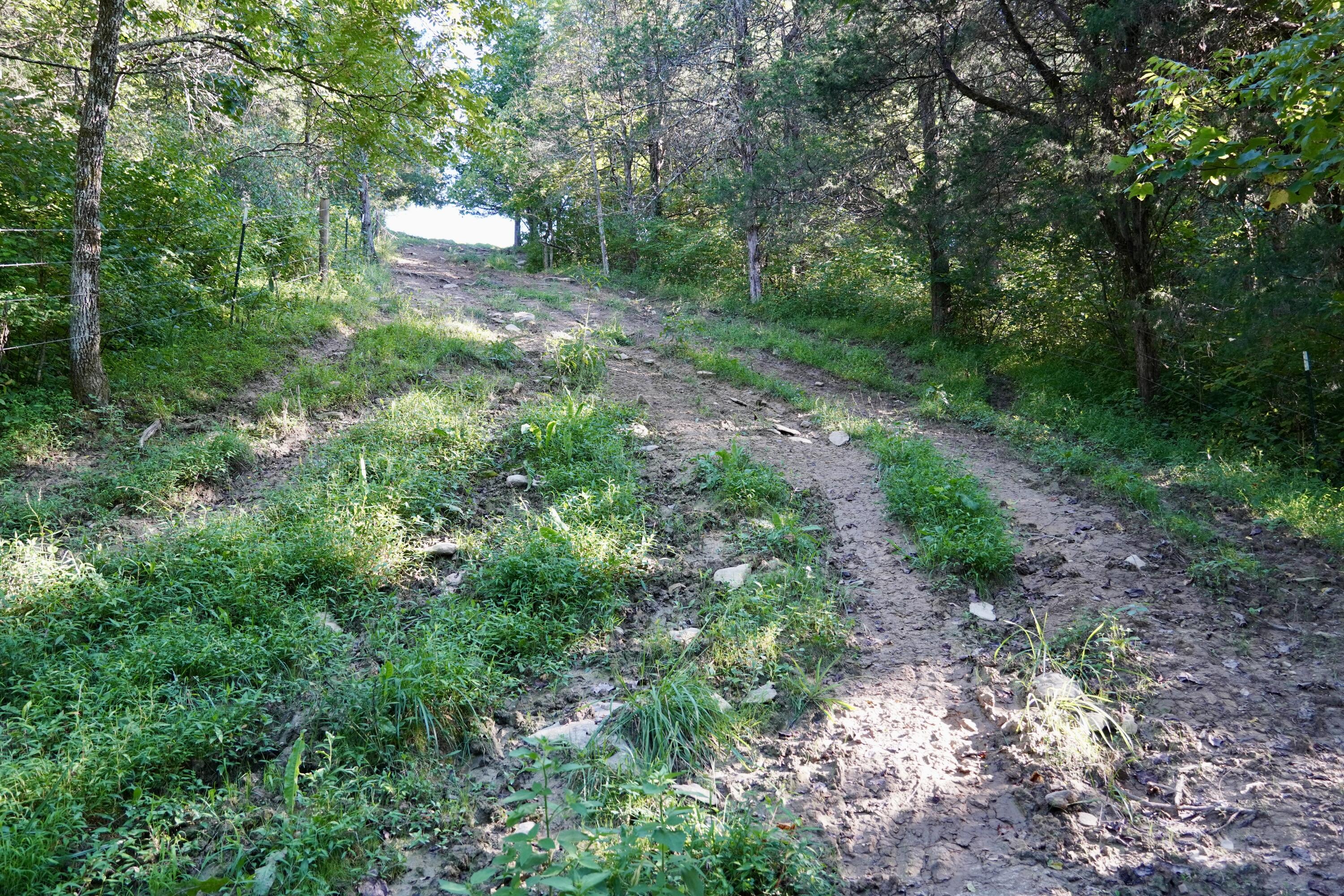 6265 Georgetown Road Owenton, KY 40359 - Photo 58 of 149 OWEN24058