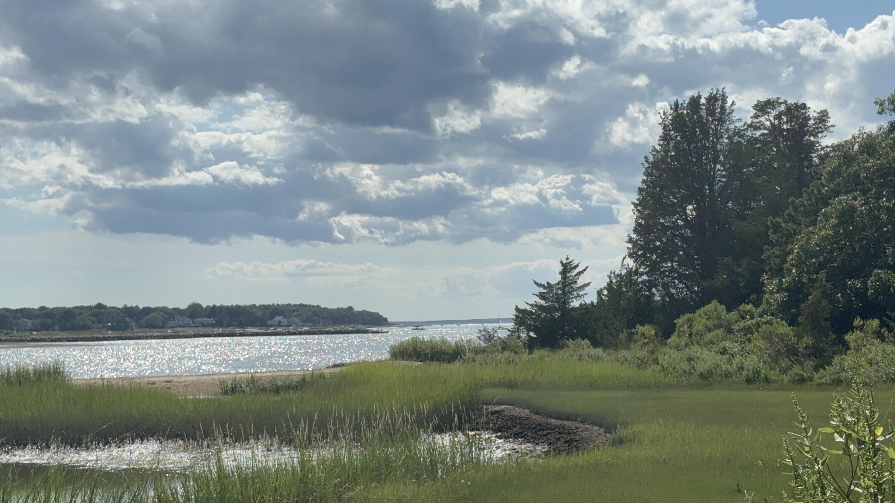 65 Round House Road, Unit 65 Buzzards Bay, MA 02532 - Photo 37 of 38 IMG_2216
