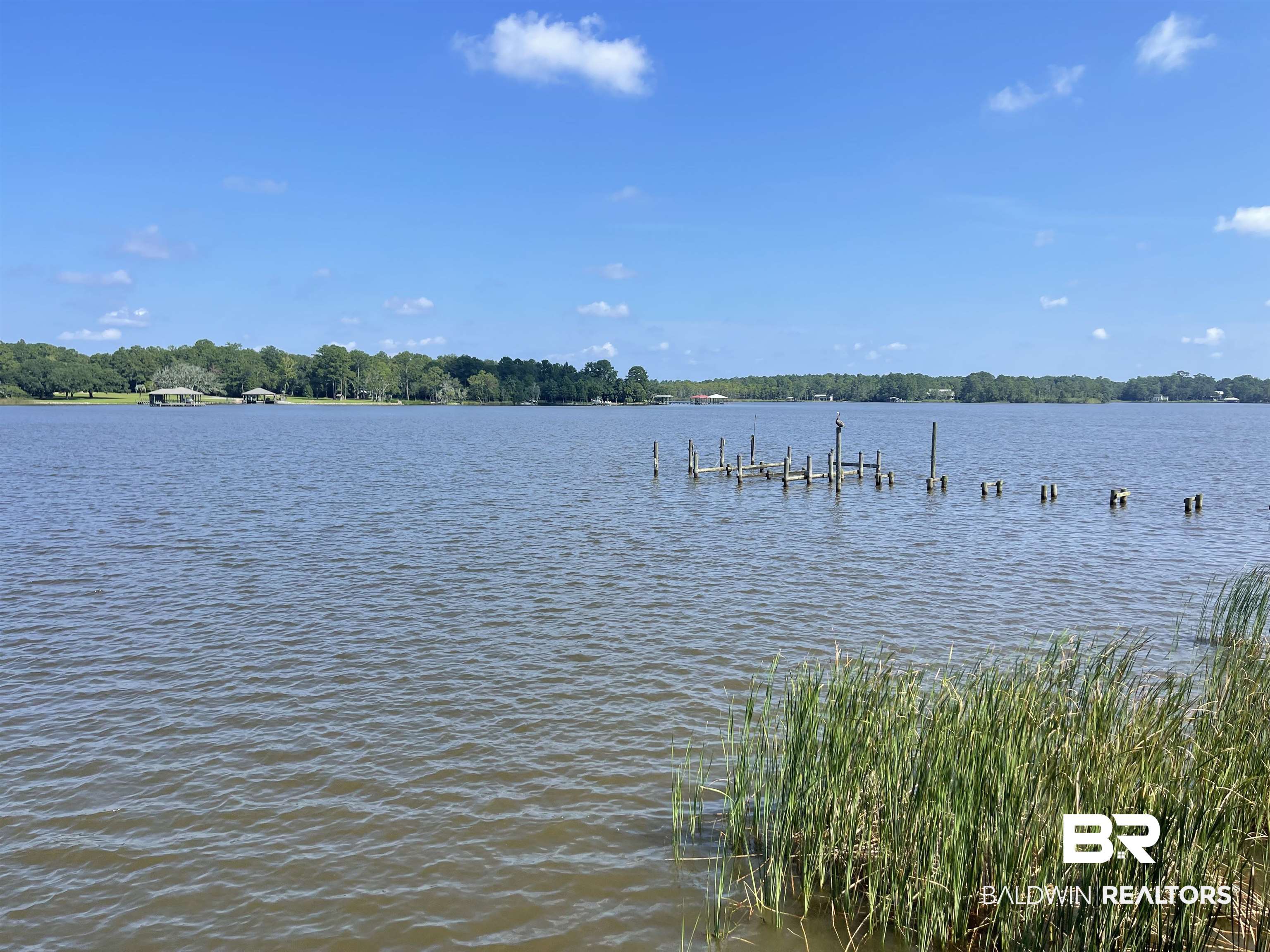 3074 Riverside Drive West Mobile, AL 36605 - Photo 12 of 15 Water view