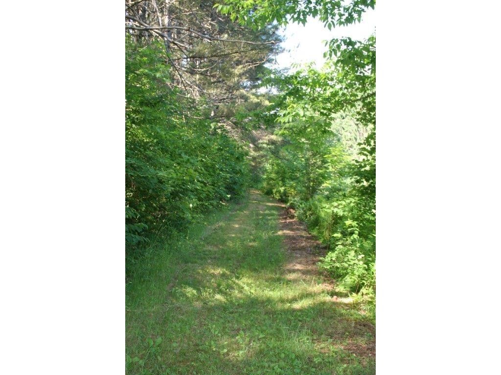 6105 Broad Brook Road Pomfret, VT 05068 - Photo 11 of 14