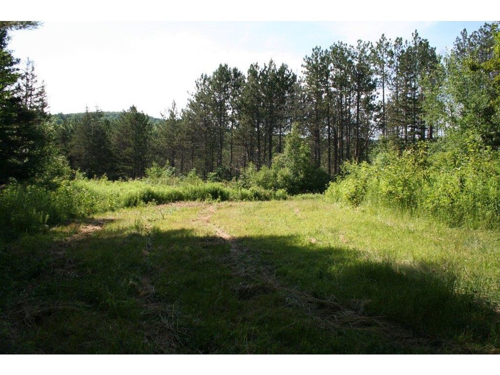 6105 Broad Brook Road Pomfret, VT 05068 - Photo 12 of 14