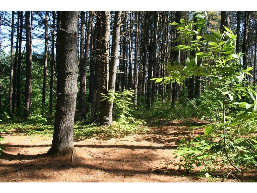 6105 Broad Brook Road Pomfret, VT 05068 - Photo 13 of 14
