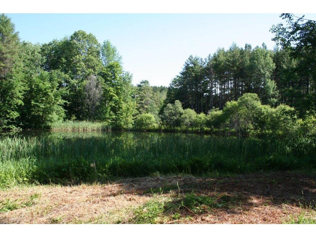 6105 Broad Brook Road Pomfret, VT 05068 - Photo 9 of 14