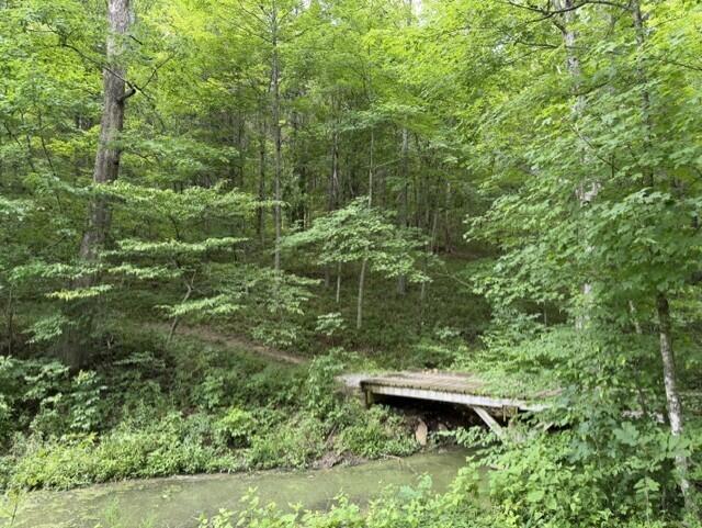 0 Kelly Ridge Road Irvine, KY 40336 - Photo 14 of 39 19