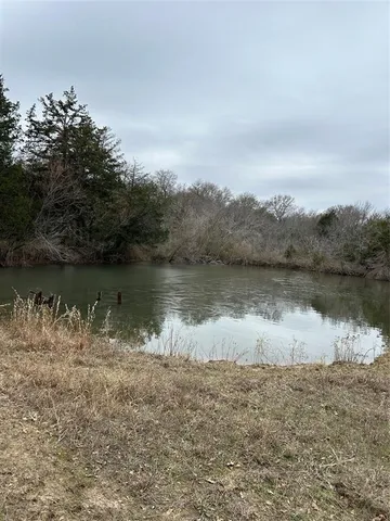 a view of a forest filled with trees