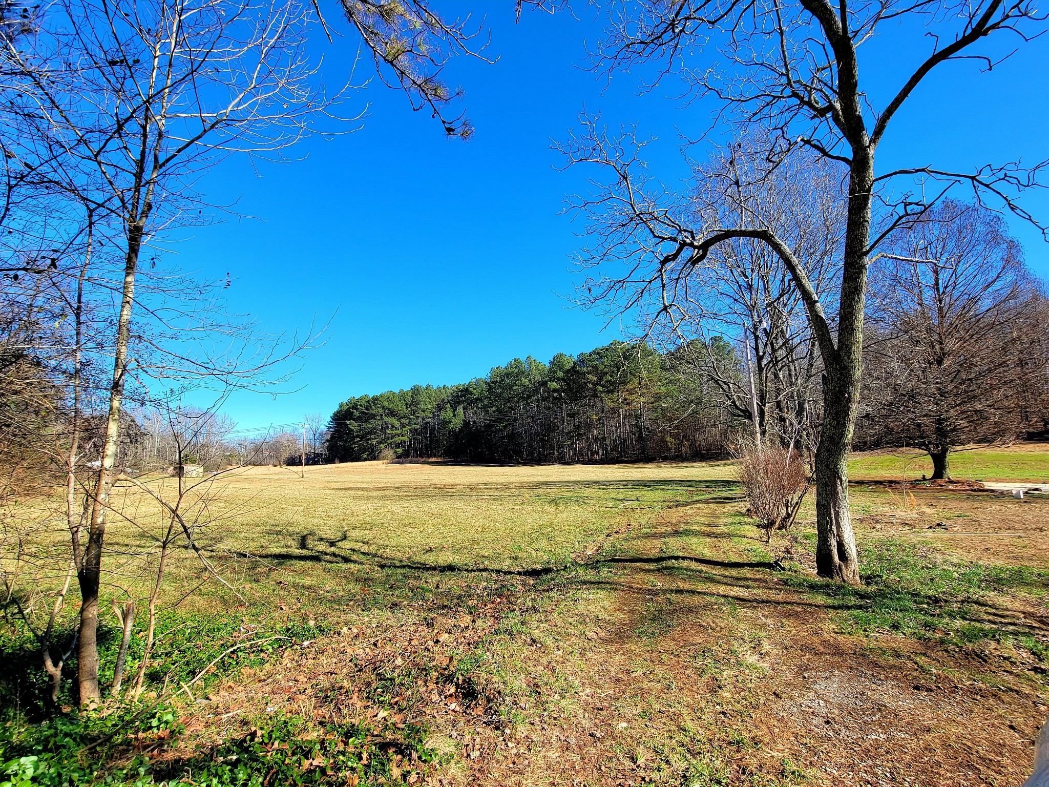 0 Bold Springs Road McEwen, TN 37101 - Photo 1 of 3 Gallery Image 1